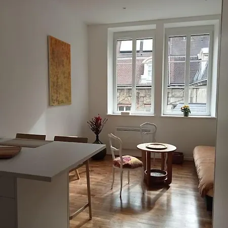 Le Reve Dijonnais Au Centre Historique