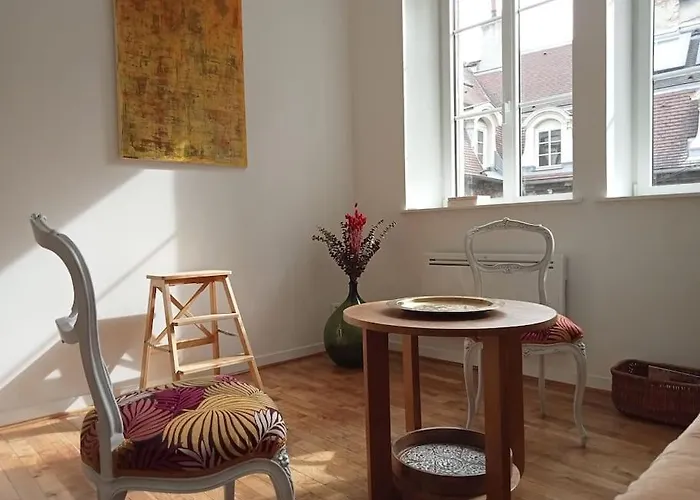 Le Reve Dijonnais Au Centre Historique ディジョン