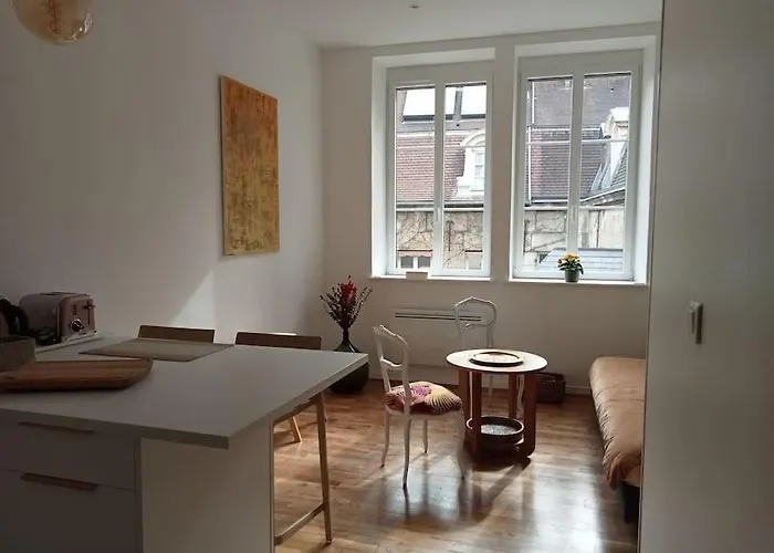 Le Reve Dijonnais Au Centre Historique