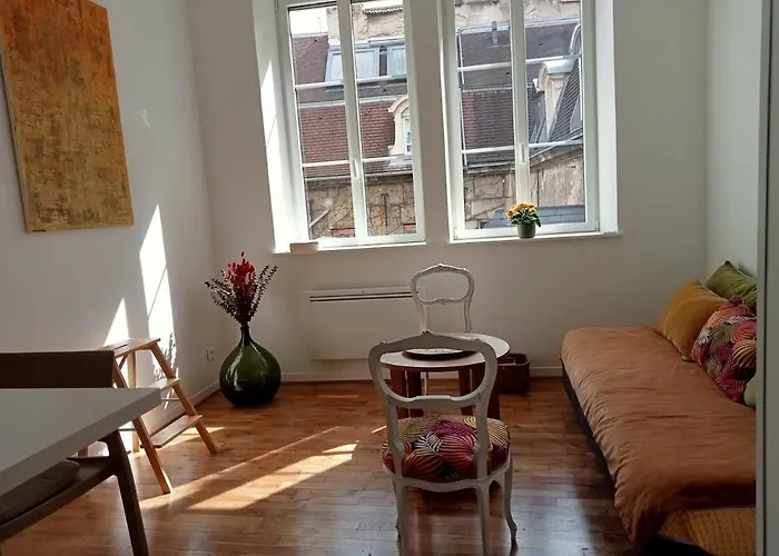 Le Reve Dijonnais Au Centre Historique